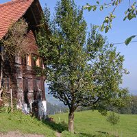 Bauernhof