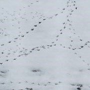 Zur�ck zum Start