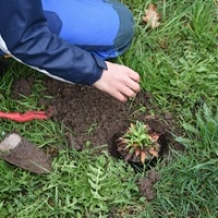 Mehr Natur