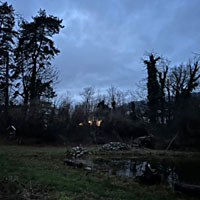 Winterwald